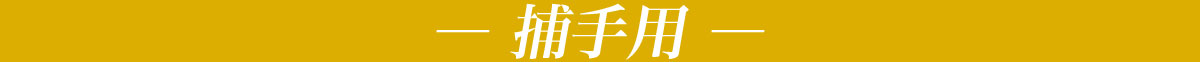 hoshu_obi