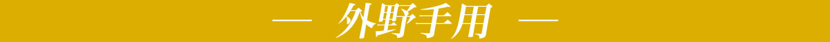 gaiya_obi