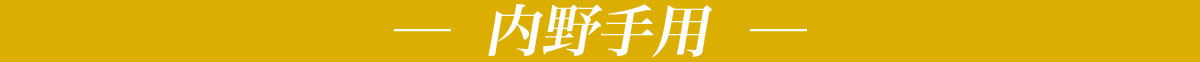 toushu_obi