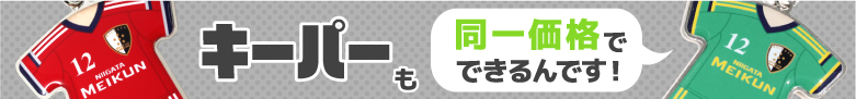 キーパー・リベロも同一価格でデザインすることが可能です