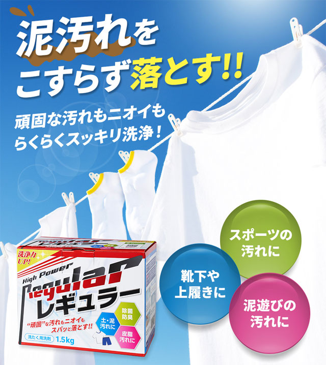 ☆リニューアル☆ アルク有限会社 泥汚れ専用洗剤 レギュラー