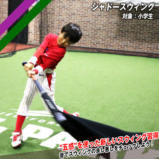 フィールドフォース シャドースウィング バッティング練習 小学生向け スウィングチェック フォーム改善 打撃練習 <br>FSDW-6060S