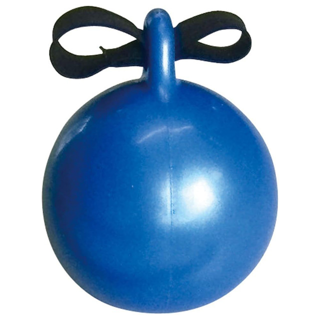 ポール真っ青トニー Kaiser ナイロンドッジボール 2号 ブルー KW-185B | スポーツ