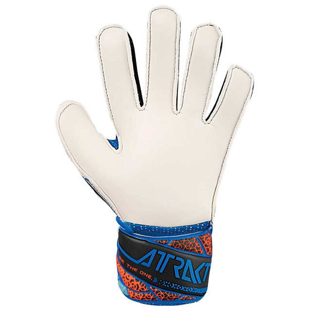 ロイシュ サッカー キーパーグローブ ジュニア アトラクト ソリッド