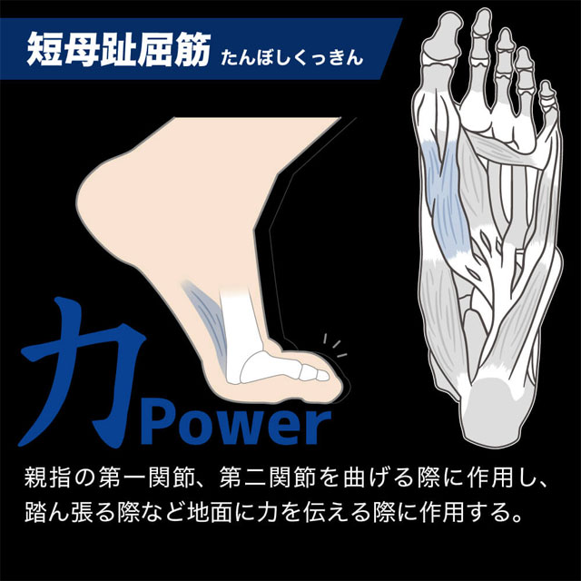 Activital サッカー フットサル ソックス ストッキング アクティ