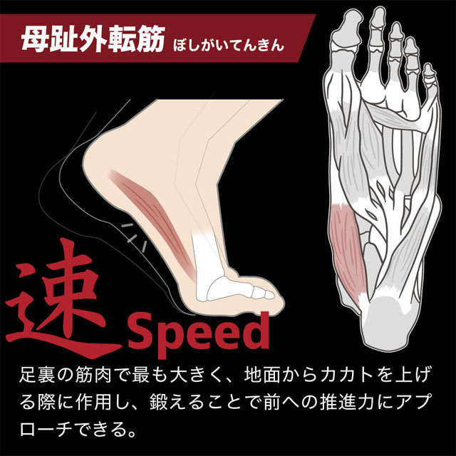 Activital サッカー フットサル ソックス ストッキング アクティ