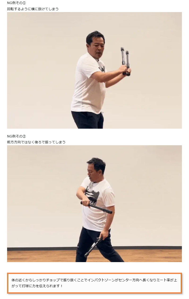 フィールドフォース チョップ三昧 飯塚智広氏監修 実打不可