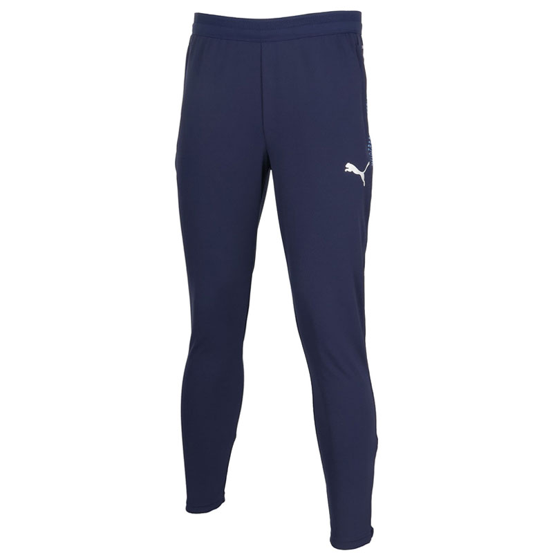 プーマ サッカー フットサル TEAMCUP TR トレーニングスリムパンツ