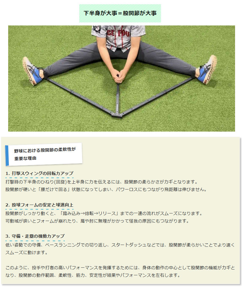 フィールドフォース 動的ストレッチャー・股関節 ストレッチ