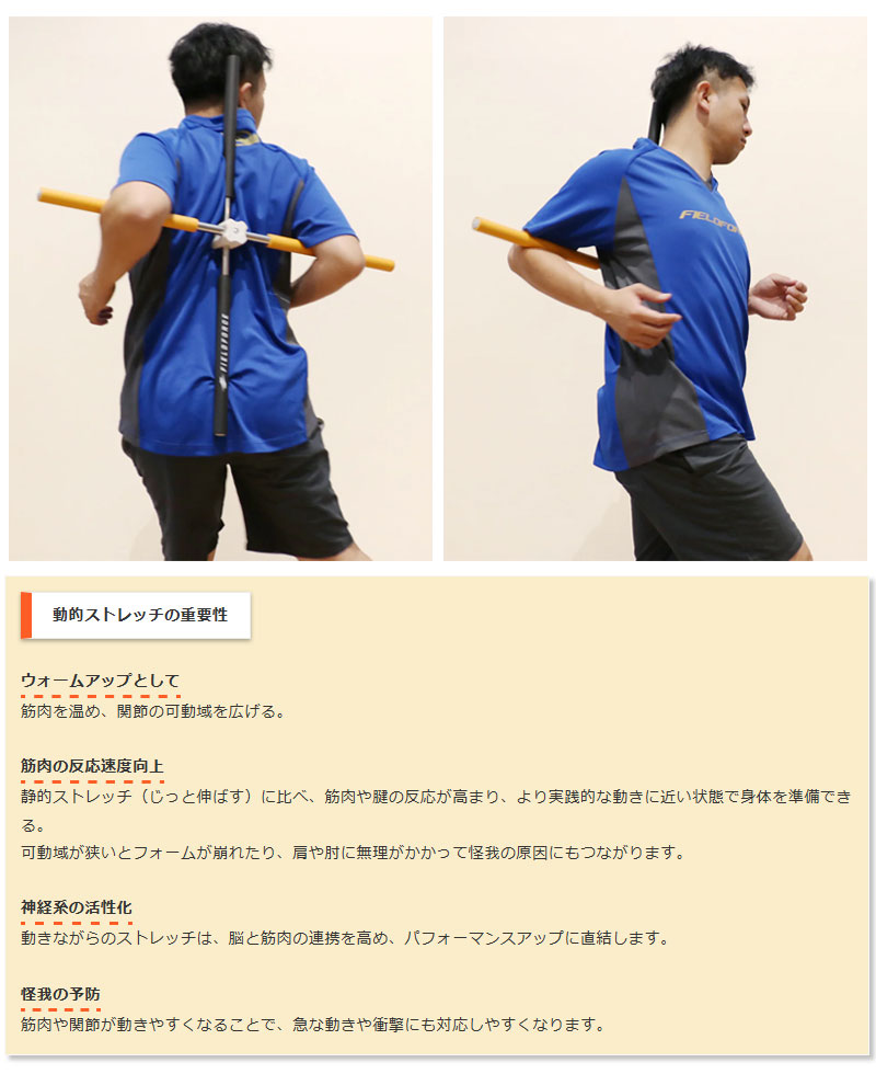 フィールドフォース 動的ストレッチャー 肩甲骨 ストレッチ 姿勢矯正
