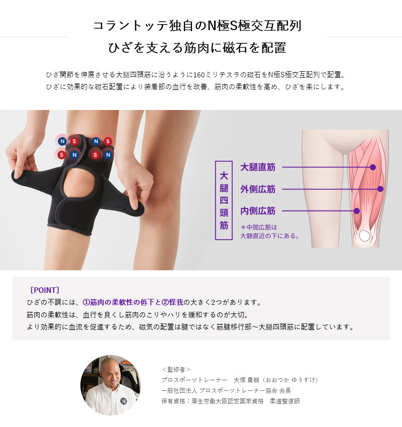 ピザポテト　 ピザポテト アークスオンラインショップ Arcs Online Shop