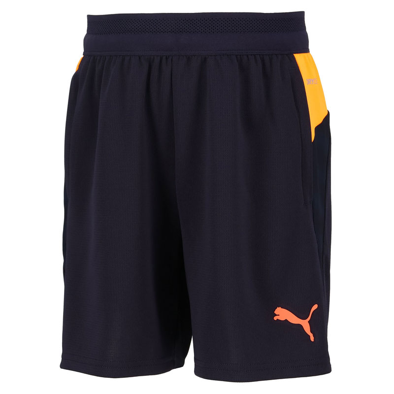 サッカー 日本代表 ハーフパンツ トレーニングウェア Lサイズ 新品正規品 サッカー 日本代表 ハーフパンツ トレーニングウェア Lサイズ