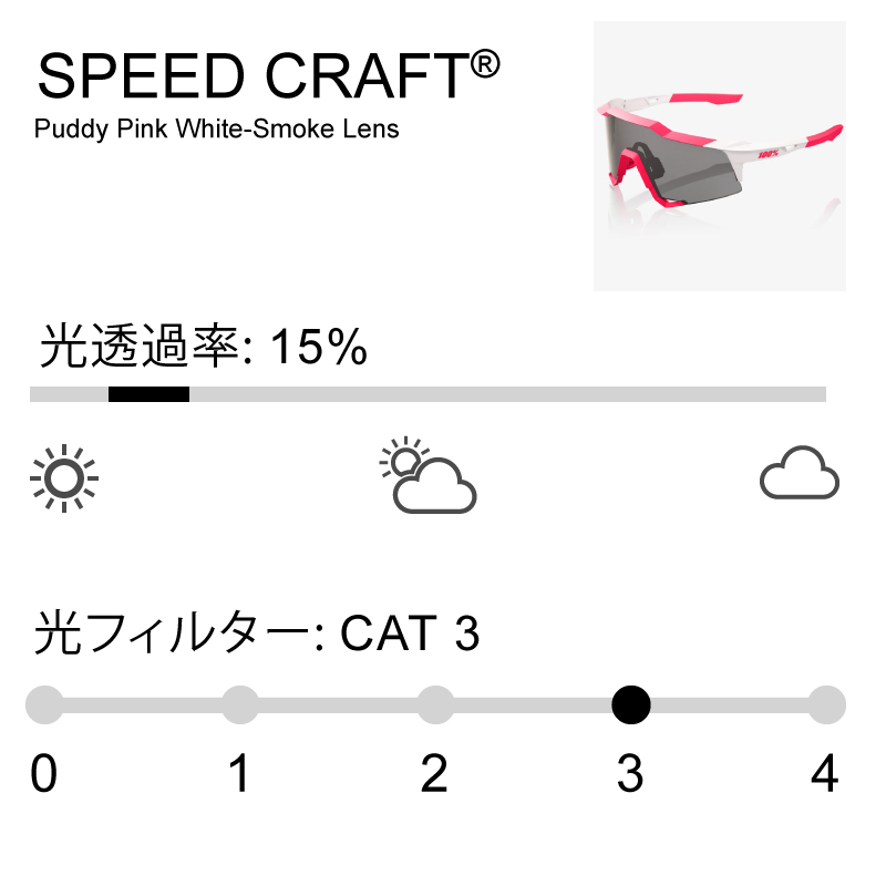 100% ワンハンドレッド スポーツサングラス SPEEDCRAFT スピード