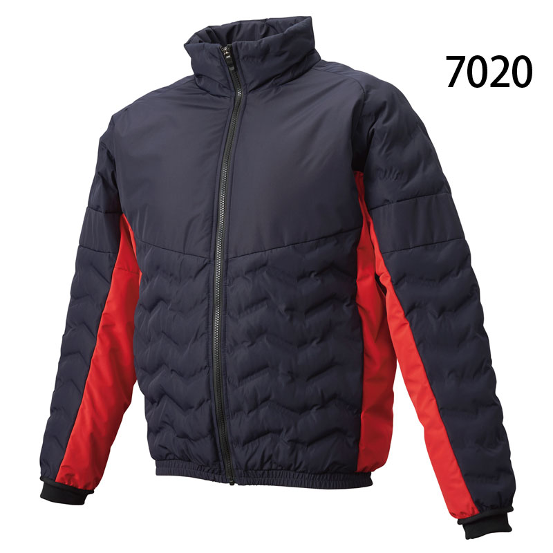 bwd2500-06.jpg