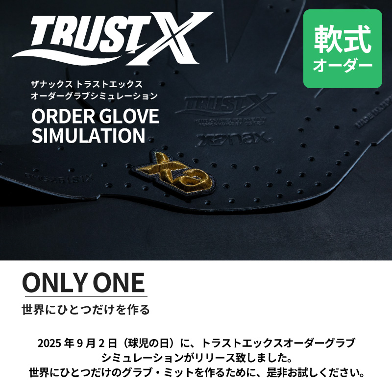 ザナックス XANAX トラストエックス TRUST-X 硬式用キャッチャーミット 捕手用 一般 ブラック×クリームブラウン 野球 硬式 グローブ キャッチャー BHC24CL1X Xanax Trust x硬式野球グローブ 黒⁄青 ザナックス 硬式