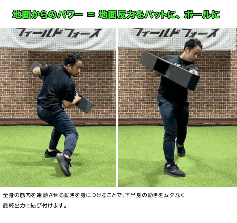 フィールドフォース フォースBOX 筋トレ 筋力アップ 体幹トレーニング