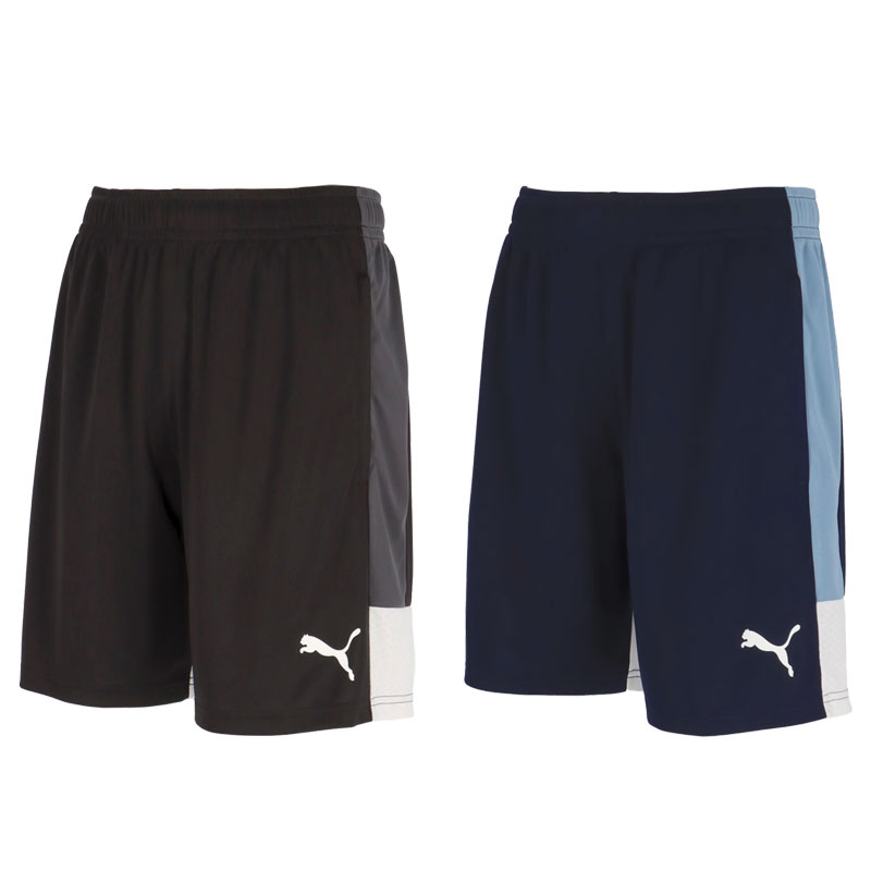 プーマ INDIVILIGA TR ショーツ サッカー フットサル トレーニング